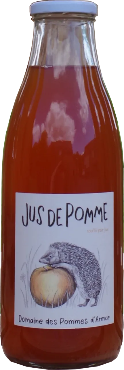 une bouteille de jus de pomme