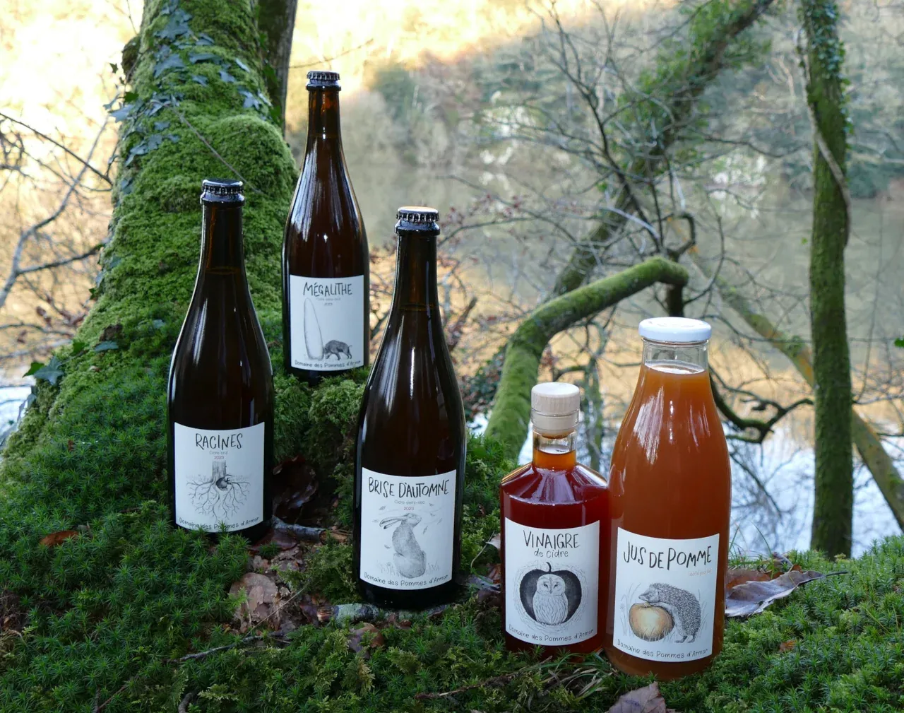bouteilles de Produits