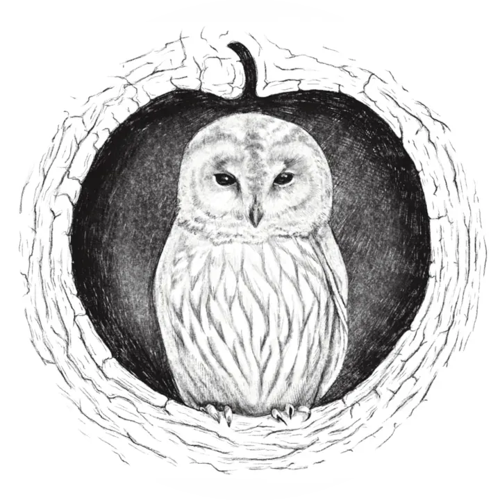 Logo de Domaine des Pommes d'Armor