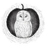Logo de Domaine des Pommes d'Armor