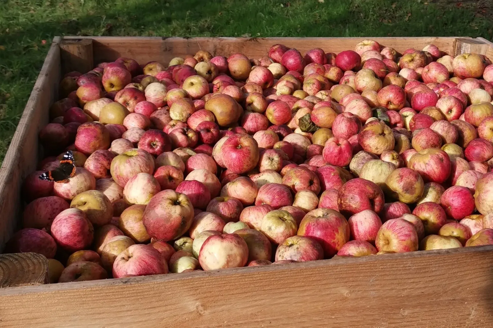 pommes